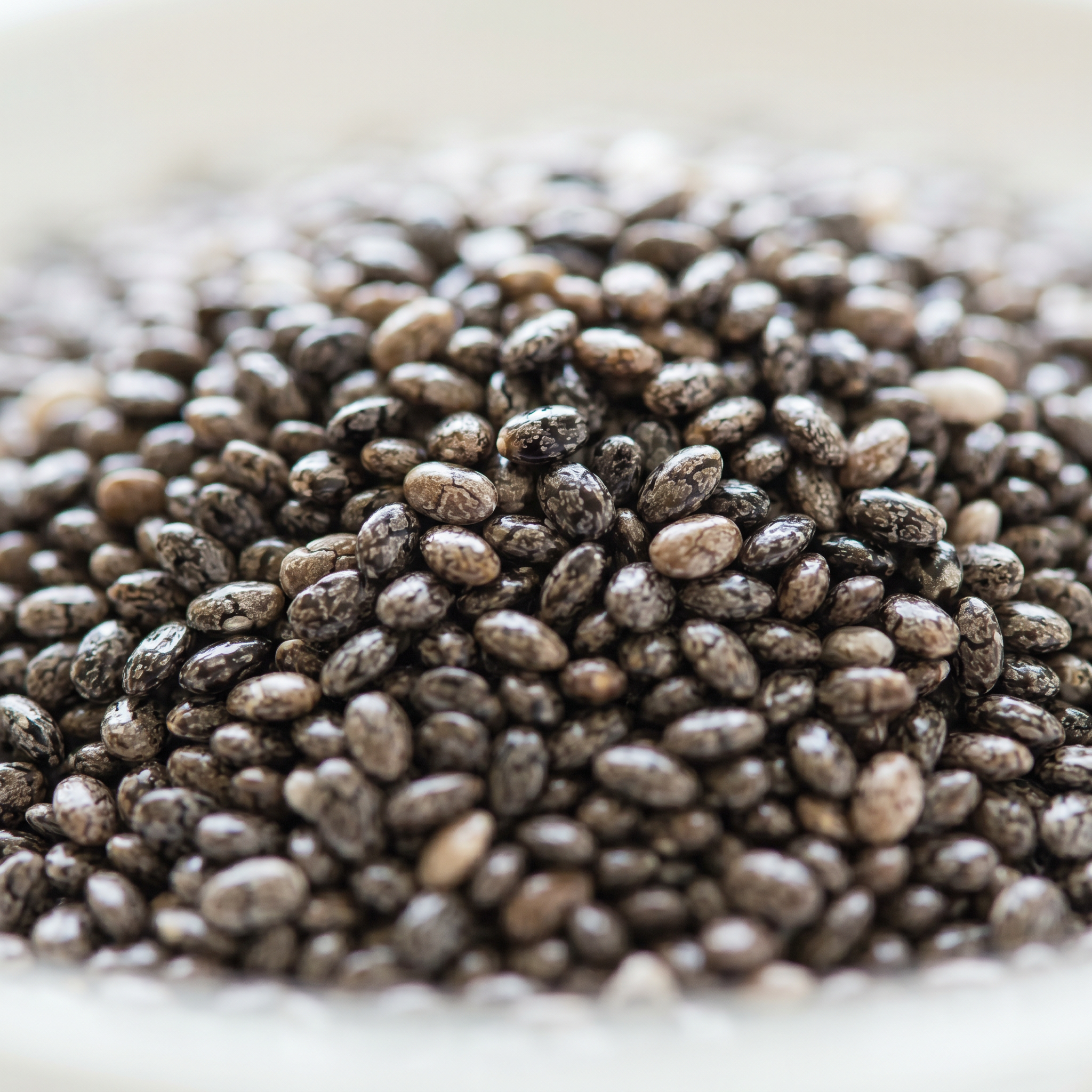 chia